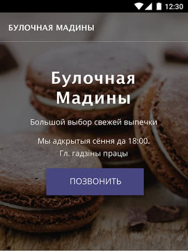 Пример сайта, созданного на основе информации из профиля компании